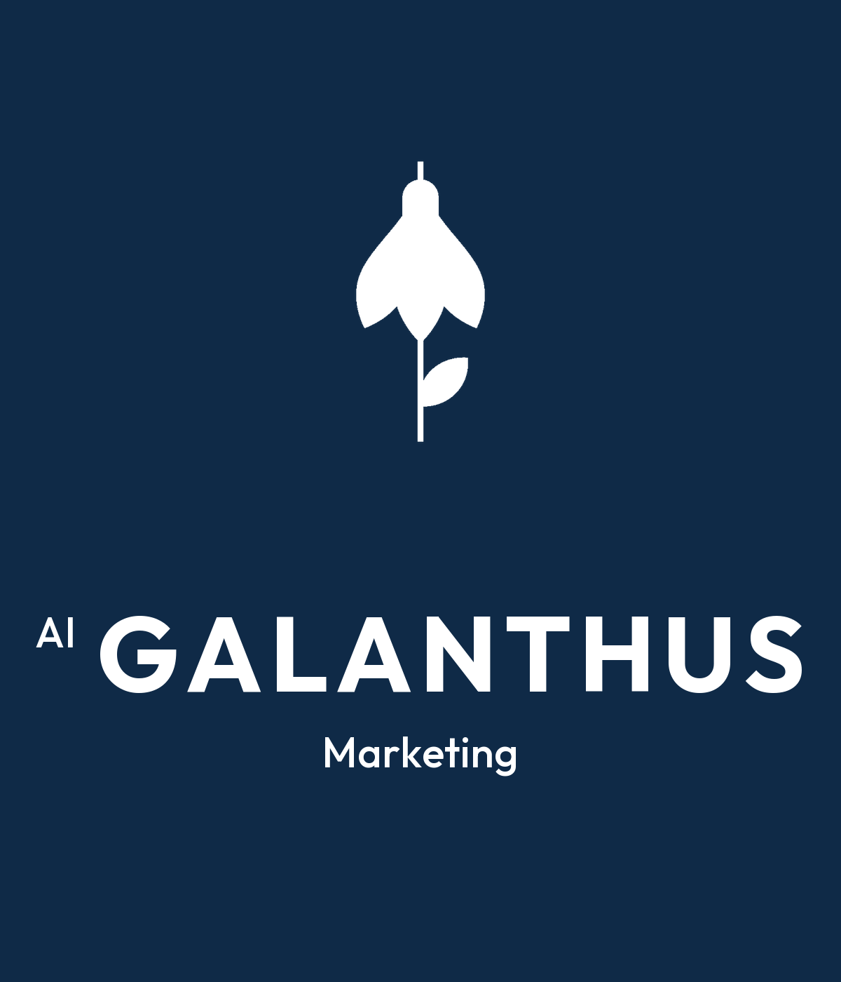 AI GALANTHUS Marketing